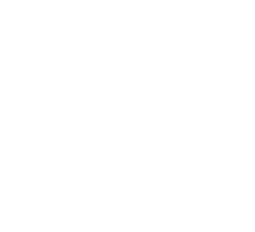 Logo Ultra Ferr